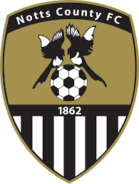 https://img.hfts888.com/img/football/team/9e230c89a846b9cadf91884918fa7611.png